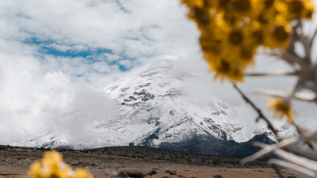 Chimborazo